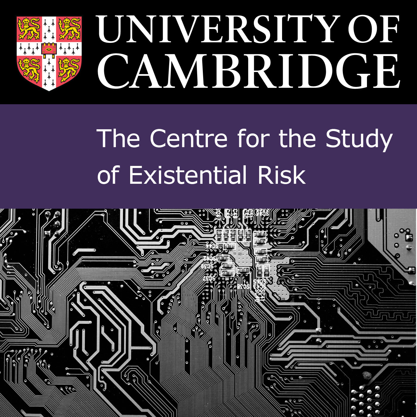 The Centre for the Study of Existential Risk's image