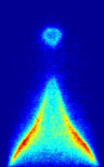 The nonlinear behaviour of a ducted premixed flame (a numerical study)'s image