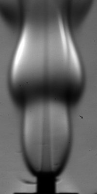 Forcing of self-excited round jet diffusion flames's image