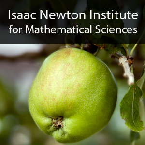 20th Anniversary of the Isaac Newton Institute's image