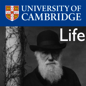 Life – Darwin College Lecture Series 2012's image