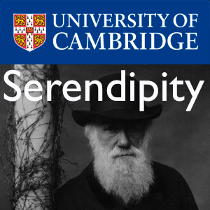 Serendipity – Darwin College Lecture Series 2008's image
