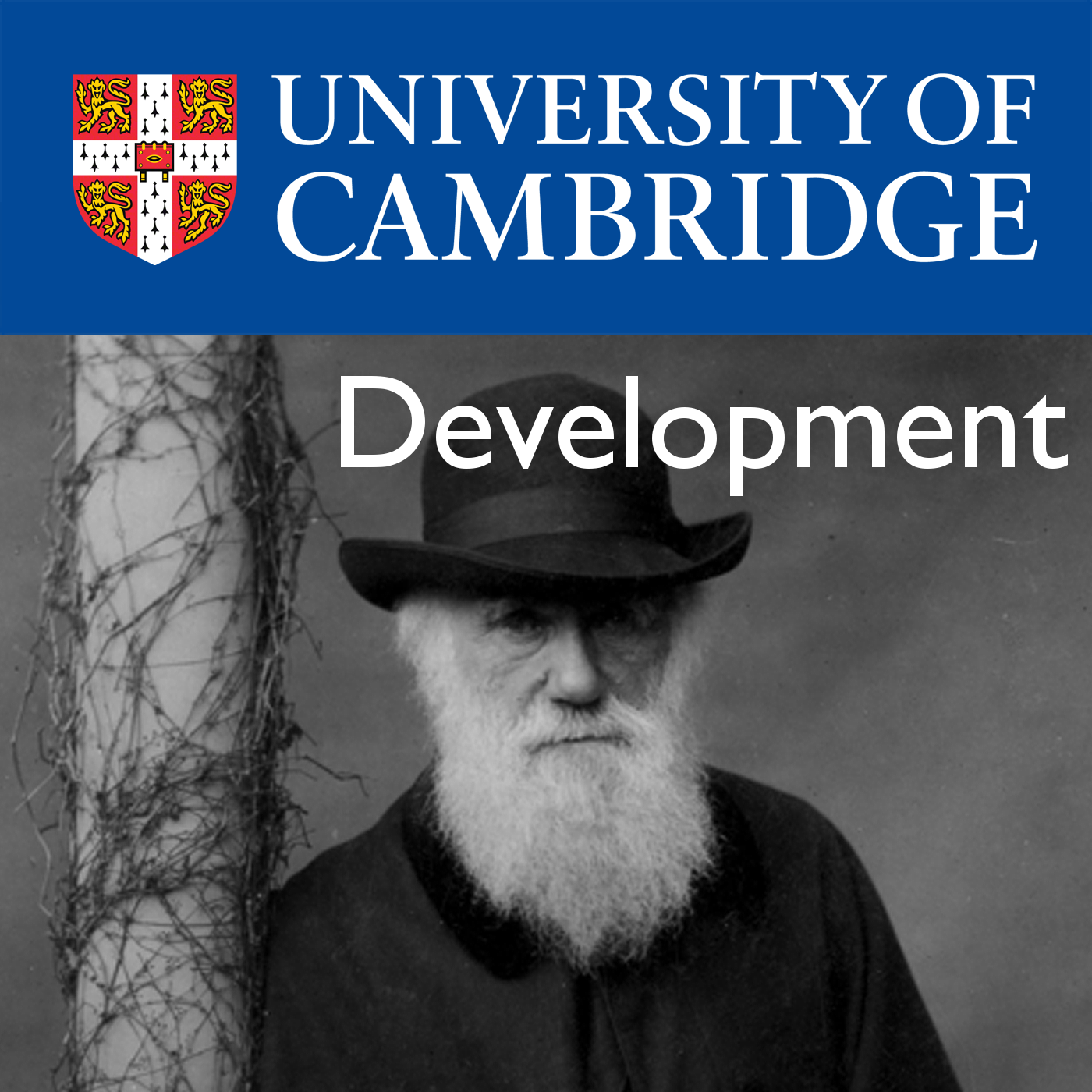 Development – Darwin College Lecture Series 2015's image