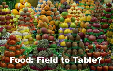 Food: Field to Table?'s image