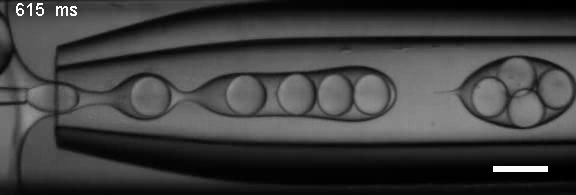 01 Formation of complex monodispersed droplets by 3D flow focusing by Goran Vladisavljevic (Loughborough)'s image