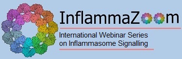 InflammaZoom: International Webinar Series on Innate Immunity and Inflammasome biology's image