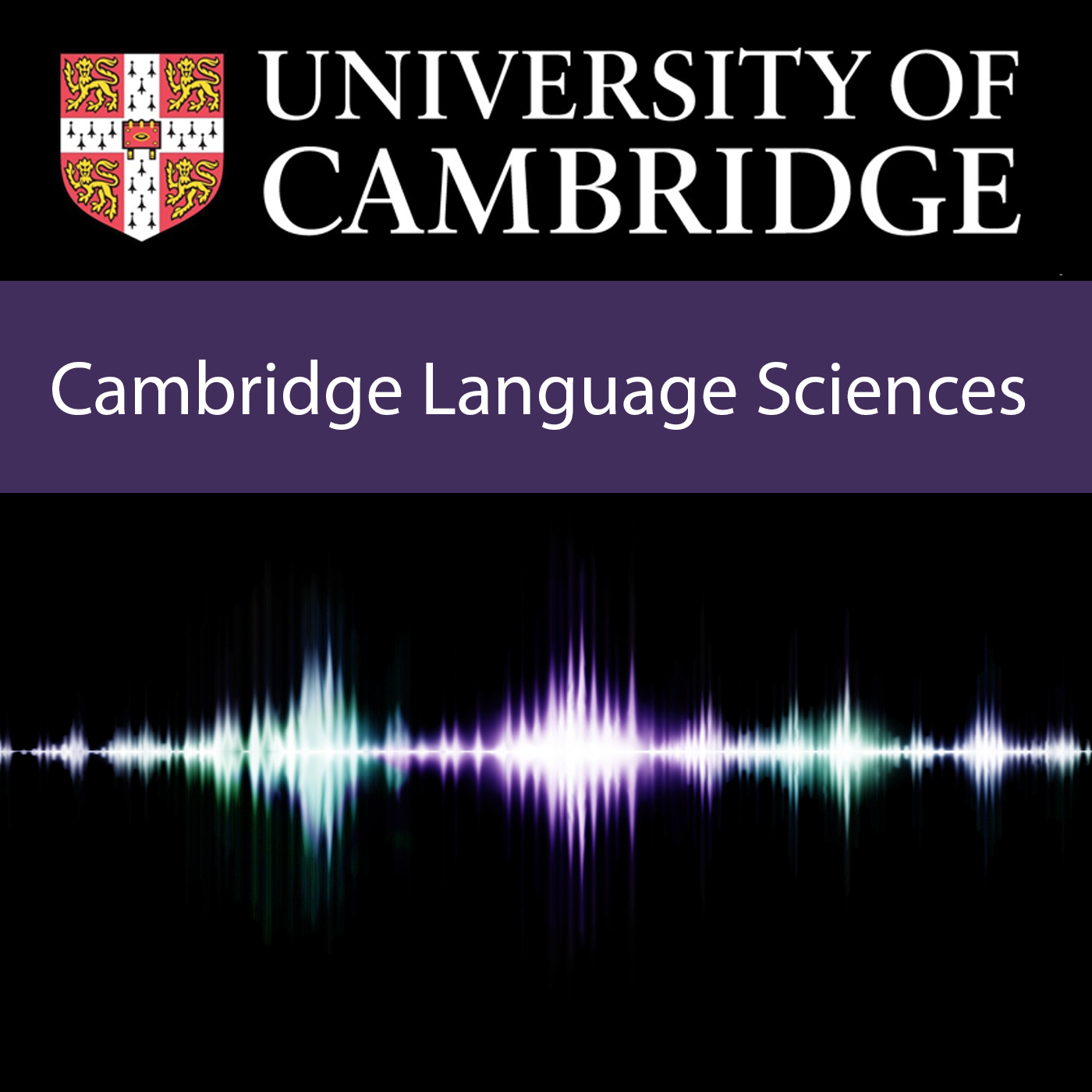 Language sciences research symposium for early-career researchers, 2021's image